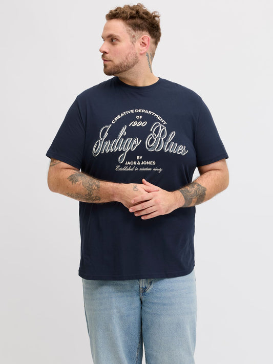 JACK & JONES JJEDENVER GRAPHIC TEE SS O-NECK SN PLS