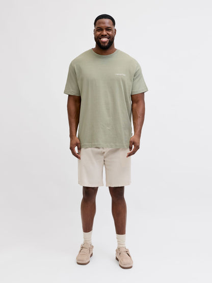 JACK & JONES JORMONTAUK BACK GRAPHIC TEE SS EA26 PLS