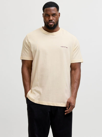 JACK & JONES JORMONTAUK BACK GRAPHIC TEE SS EA26 PLS