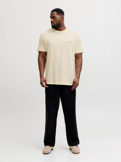 JACK & JONES JORMONTAUK BACK GRAPHIC TEE SS EA26 PLS