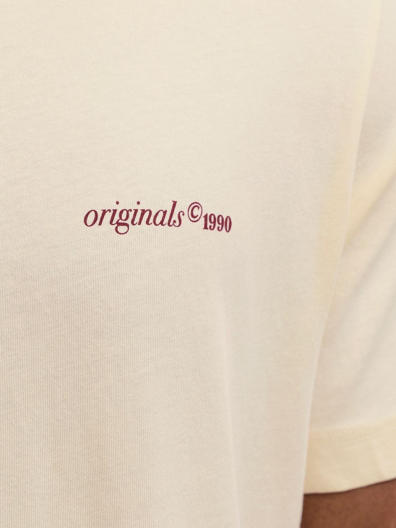 JACK & JONES JORMONTAUK BACK GRAPHIC TEE SS EA26 PLS