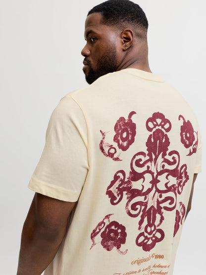 JACK & JONES JORMONTAUK BACK GRAPHIC TEE SS EA26 PLS