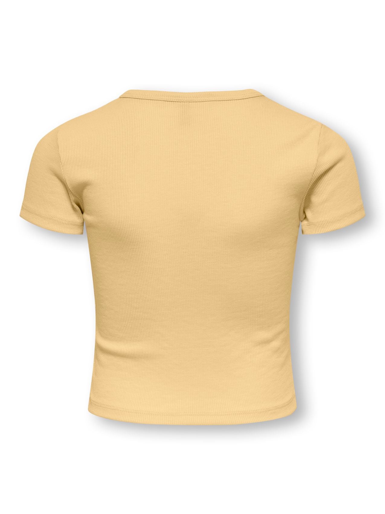 ONLY Cropped T-Shirt