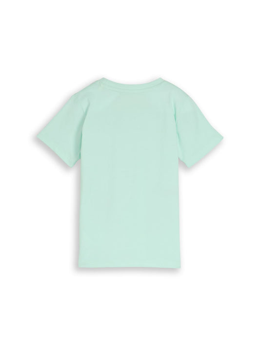 TOM TAILOR T-Shirt mit Foto-Print