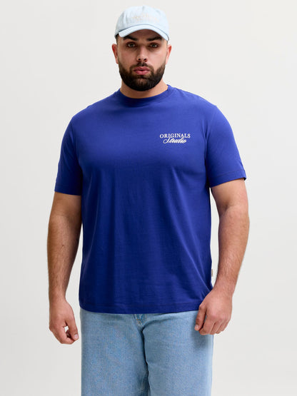 JACK & JONES JORNORREBRO TYPO TEE SS CN SN PLS