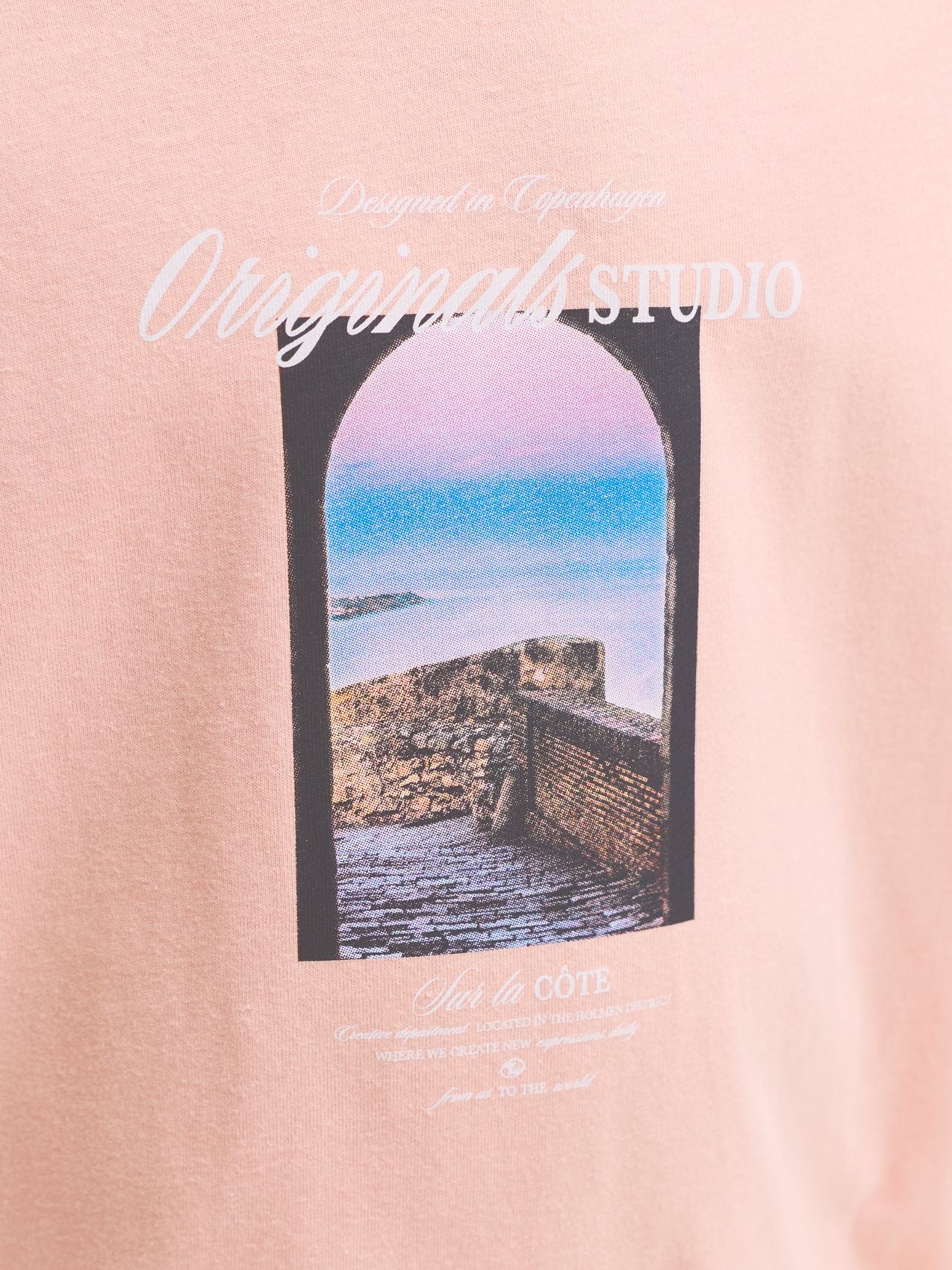 JACK & JONES JORNORREBRO PHOTO TEE SS CREW NECK JNR