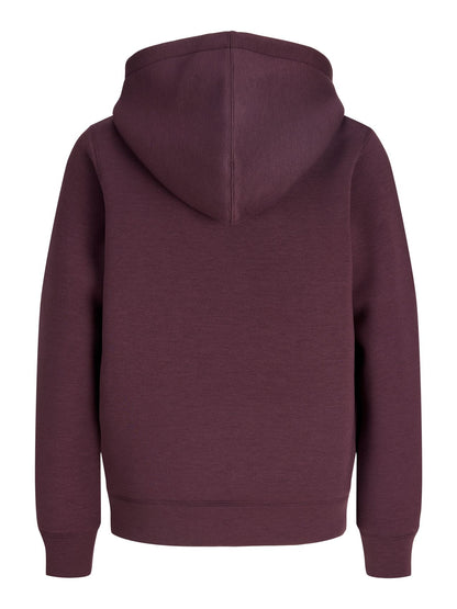 JCOLEGACY SWEAT SCUBA ZIP HOOD NOOS JNR