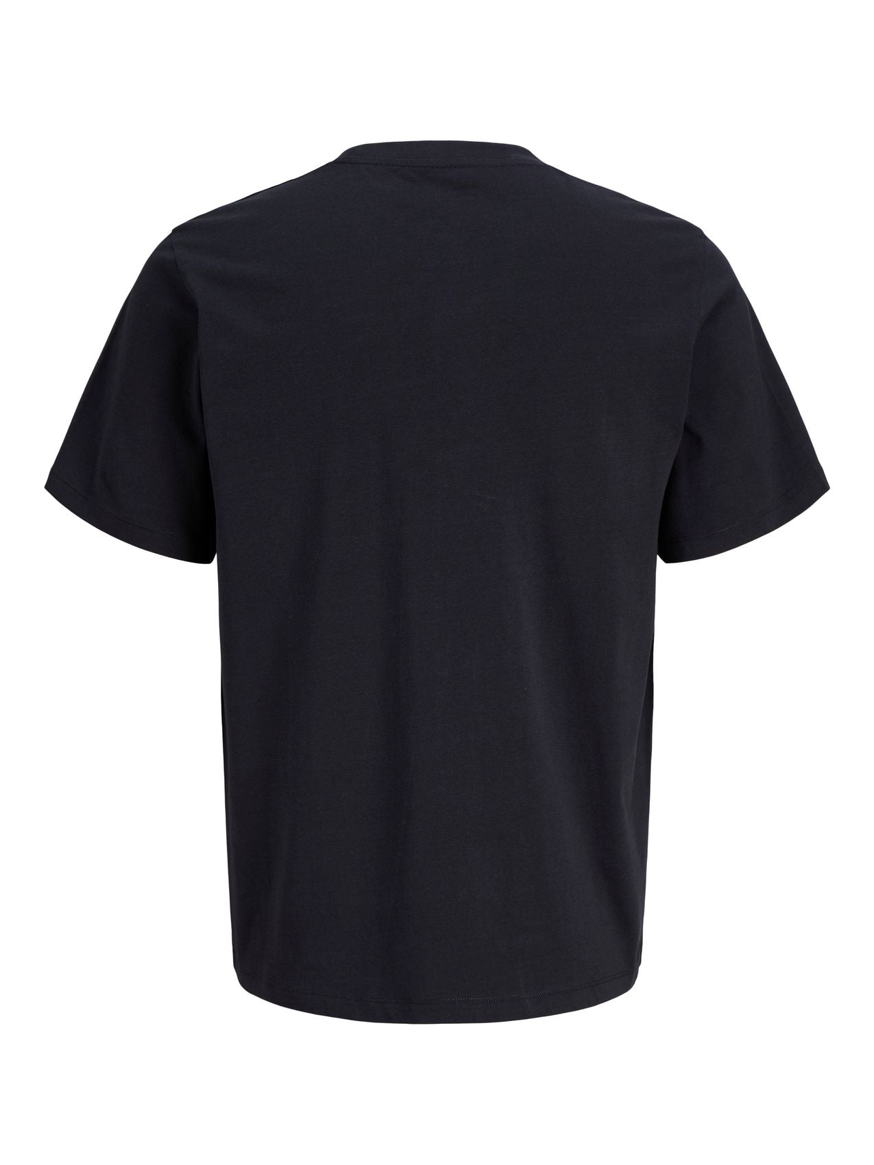 JPRBLUZANDER SS TEE FST