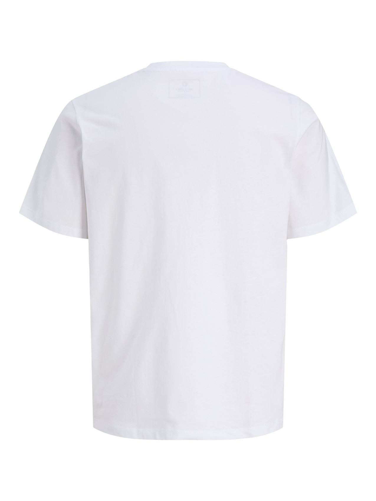 JPRBLUZANDER SS TEE FST