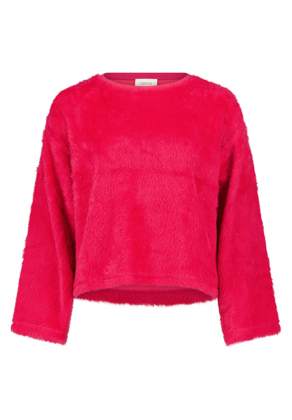 CARTOON Sweatshirt 38