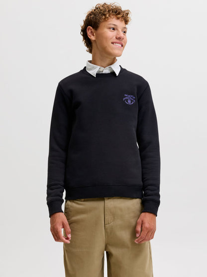 Sweatshirt mit Frontprint