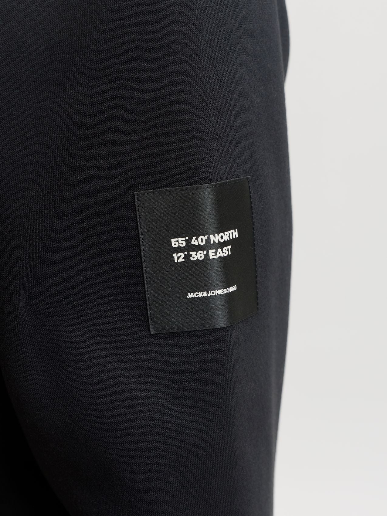JACK & JONES JJCLEVELAND SWEAT CREW NECK PLS