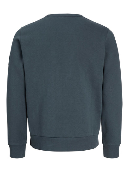 JACK & JONES JJCLEVELAND SWEAT CREW NECK PLS
