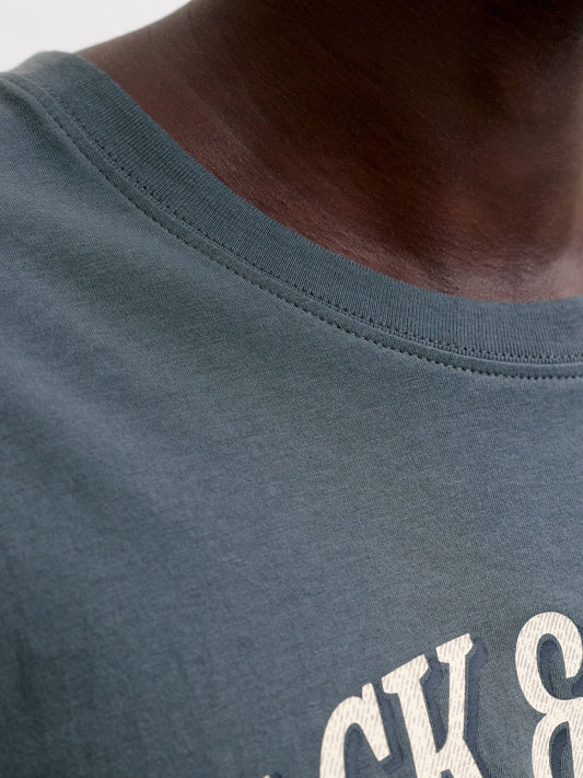 JACK & JONES JJEDENVER LOGO TEE SS O-NECK SN PLS