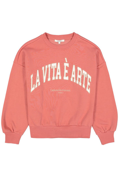 Sweatshirt mit Brustdruck