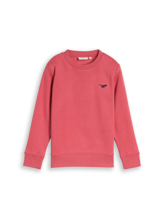 TOM TAILOR Sweatshirt mit Dino-Stickerei
