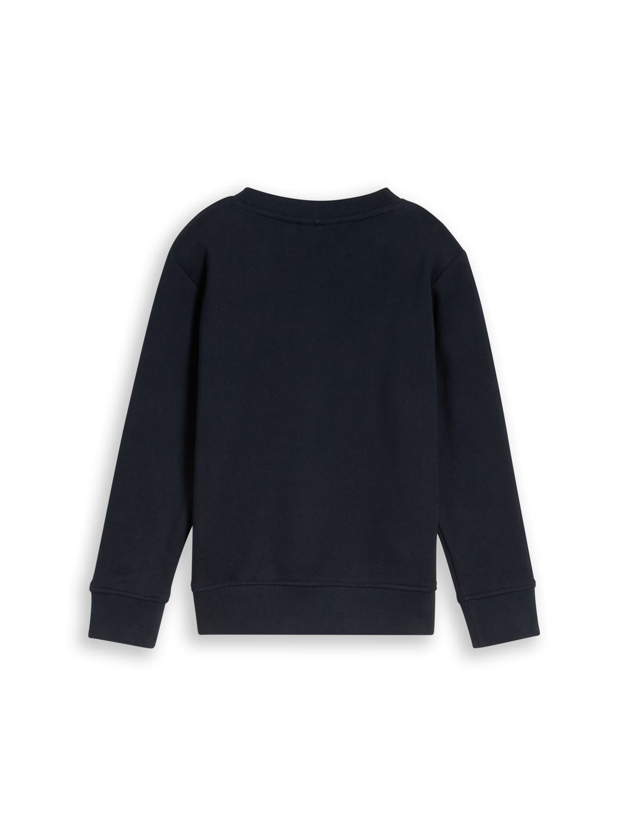 TOM TAILOR Sweatshirt mit Dino-Stickerei