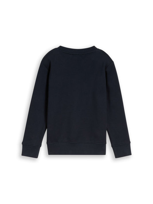 TOM TAILOR Sweatshirt mit Dino-Stickerei