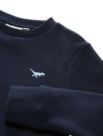 TOM TAILOR Sweatshirt mit Dino-Stickerei