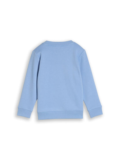 TOM TAILOR Sweatshirt mit Snoopy-Print