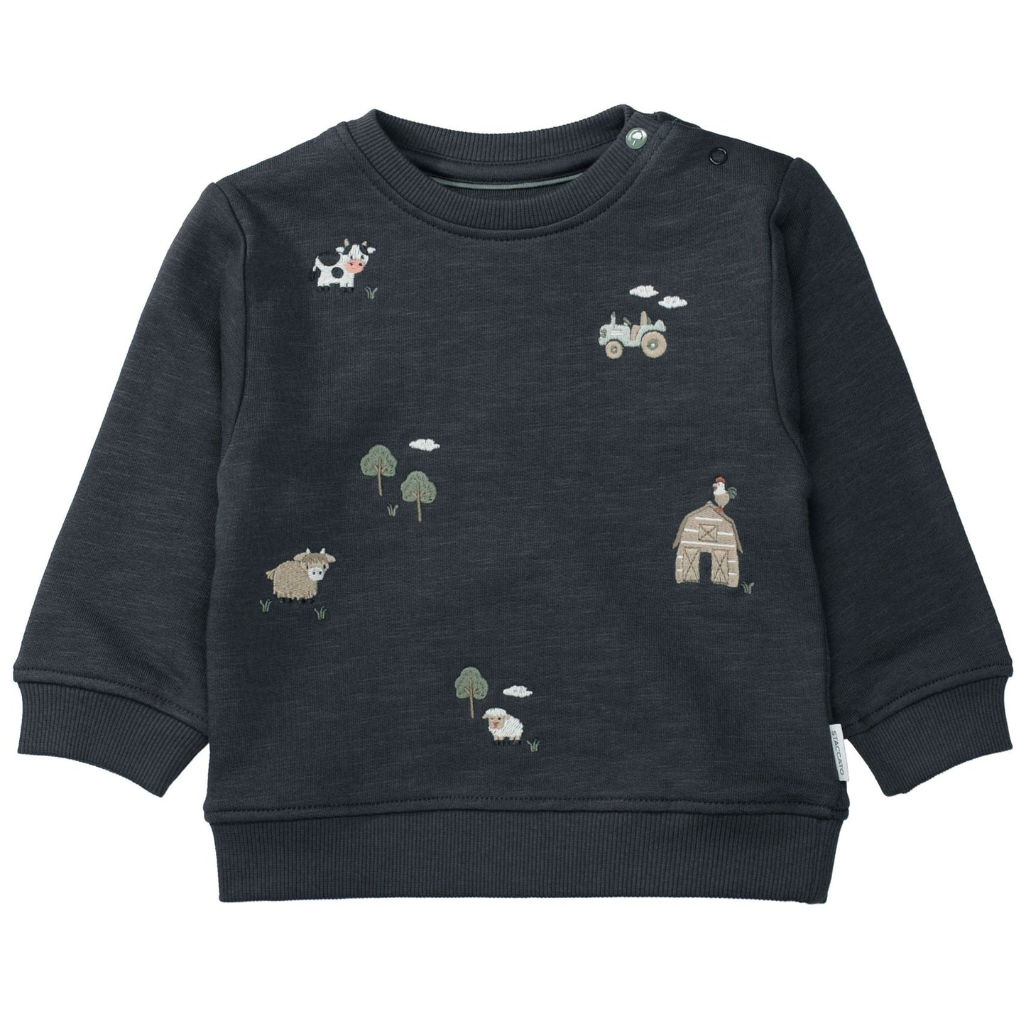 STACCATO Kn.-Sweatshirt