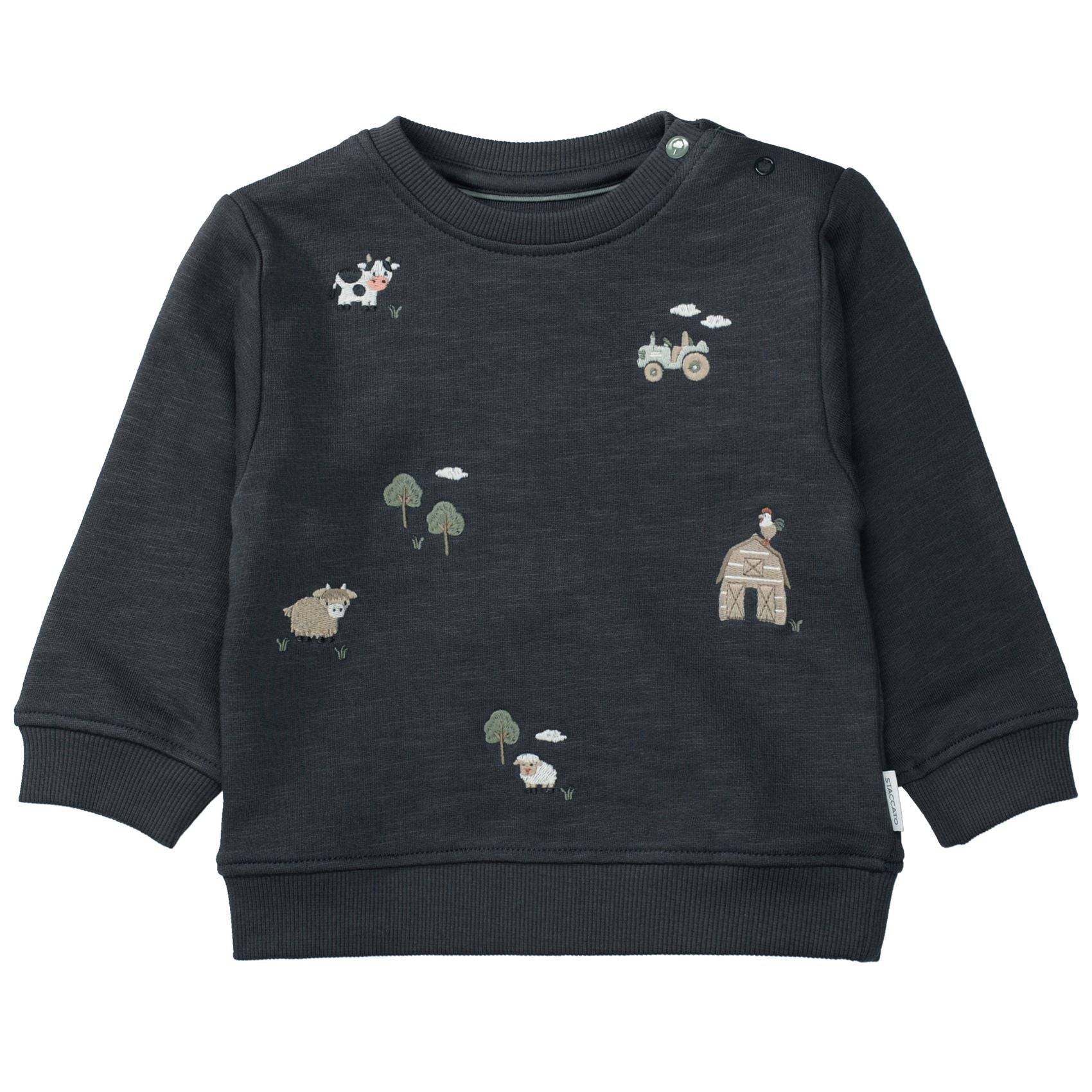 STACCATO Kn.-Sweatshirt