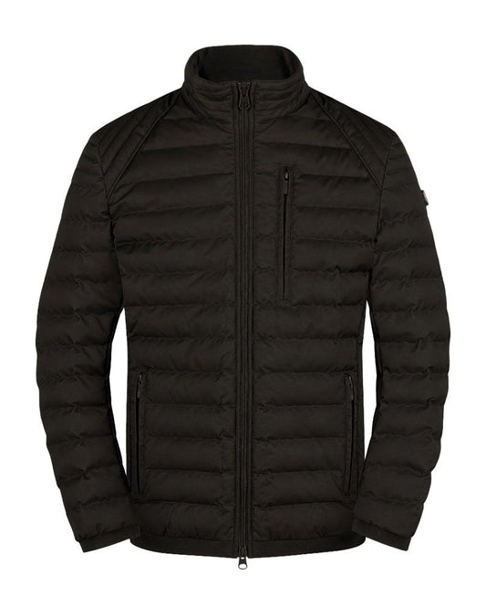 Herren Steppblouson mit Stehkragen "MOLM"