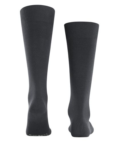 FALKE FALKE Ultra Energizing Herren