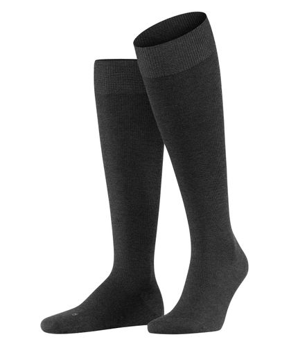 FALKE FALKE Energizing Wool Herren