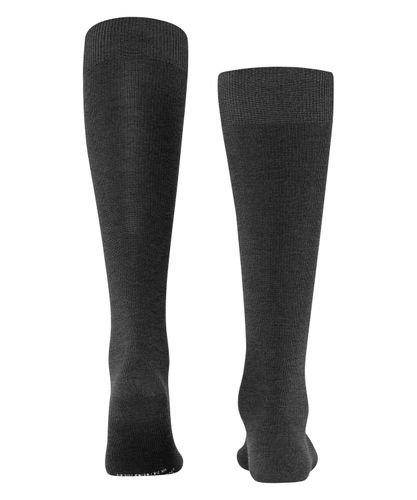 FALKE FALKE Energizing Wool Herren