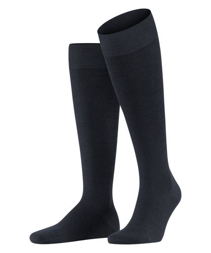 FALKE FALKE Energizing Wool Herren