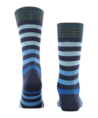 FALKE Burlington Blackpool Herren