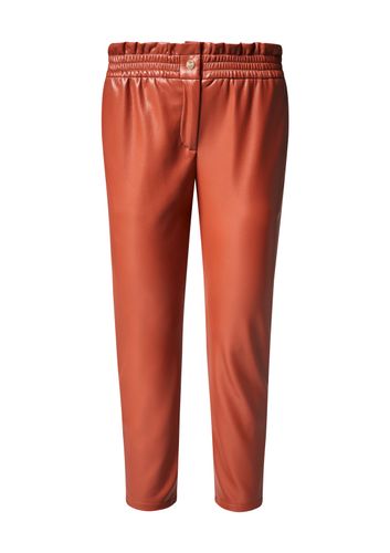 COMMA Hose REG