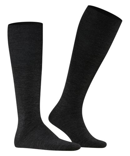FALKE FALKE Airport Herren