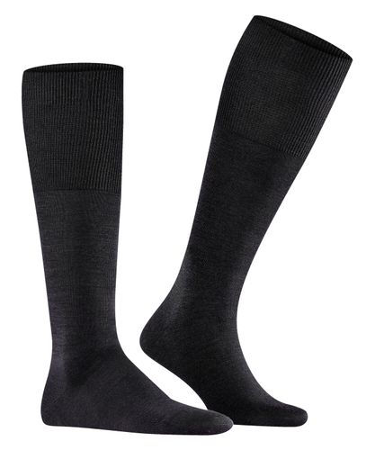 FALKE FALKE Airport Herren