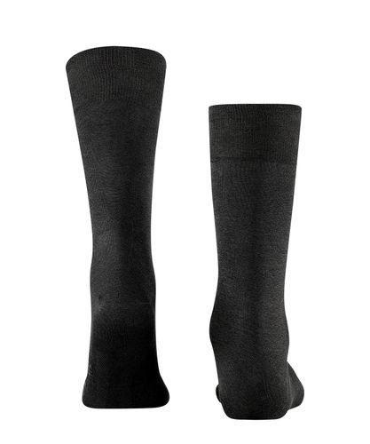 FALKE FALKE Cool 24/7 Herren