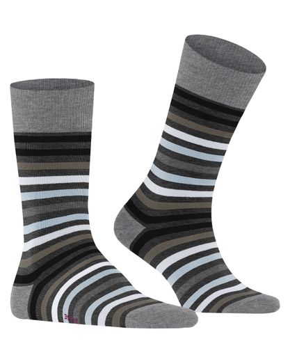 FALKE FALKE Tinted Stripe Herren