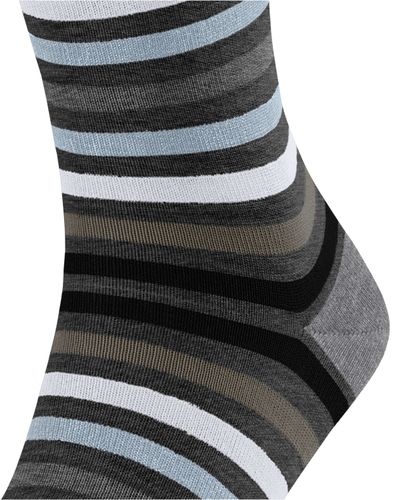 FALKE FALKE Tinted Stripe Herren
