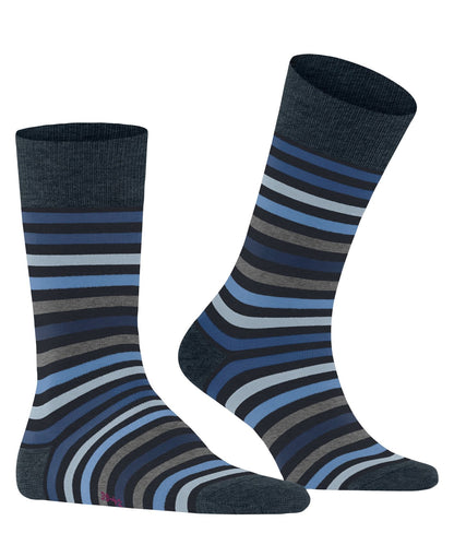 FALKE Tinted Stripe Herren