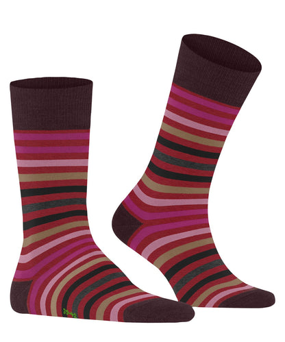 FALKE Tinted Stripe Herren