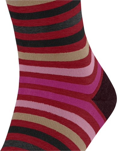 FALKE Tinted Stripe Herren
