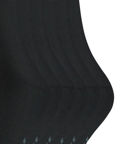 FALKE FALKE Happy 6-Pack Herren