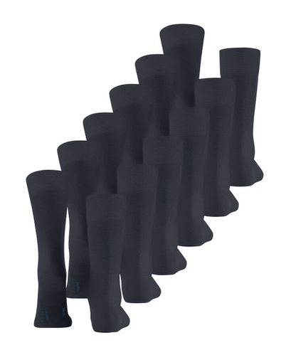 FALKE FALKE Happy 6-Pack Herren