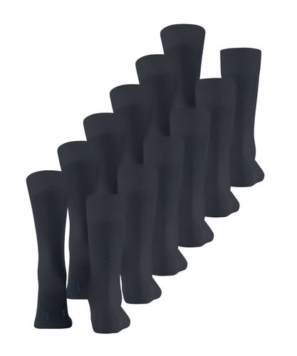 FALKE FALKE Happy 6-Pack Herren