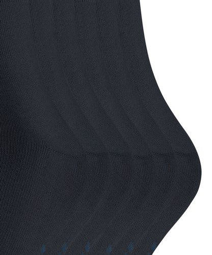 FALKE FALKE Happy 6-Pack Herren