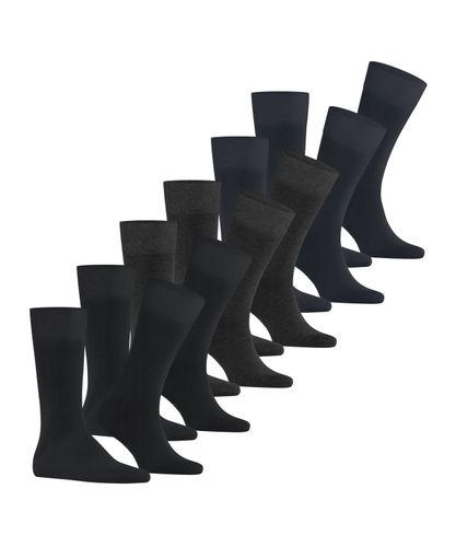 FALKE FALKE Happy 6-Pack Herren