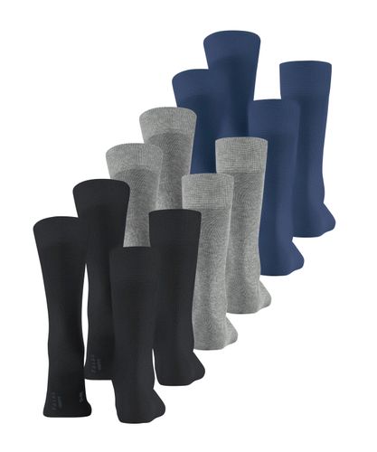 FALKE FALKE Happy 6-Pack Herren