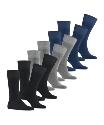 FALKE FALKE Happy 6-Pack Herren