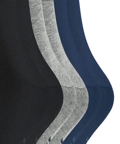 FALKE FALKE Happy 6-Pack Herren