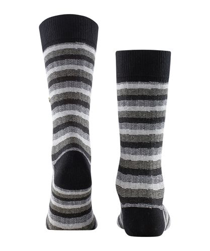 FALKE Burlington Signature Stripe Herren